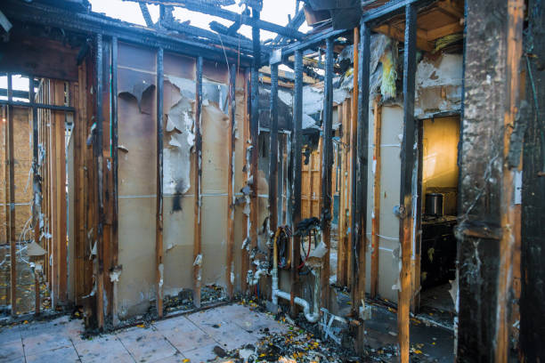 Professional Fire Damage Removal technician working in Indiana, PA